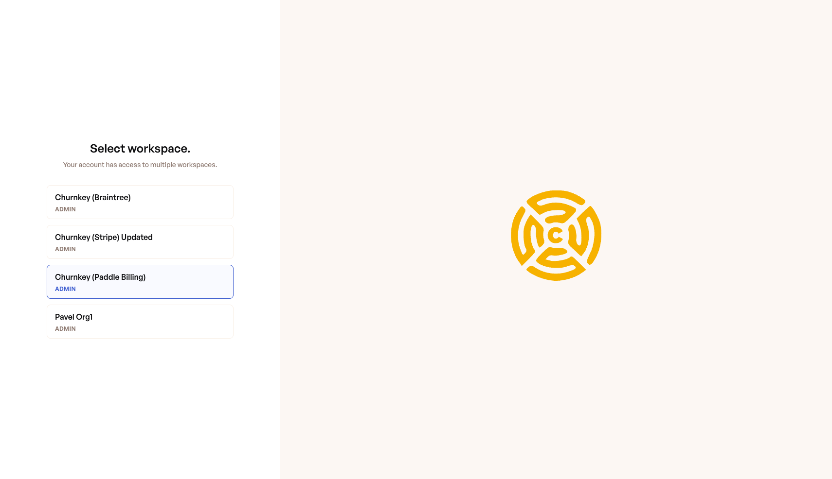 The workspace selection screen listing all workspaces your account can access, each showing the workspace name and your role